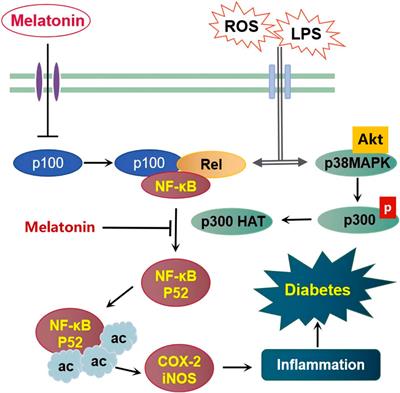 The Prospective Application of Melatonin in Treating Epigenetic Dysfunctional Diseases